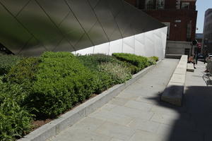 bush, day, England, eye level view, garden, London, pavement, ramp, shrub, spring, sunny, The United Kingdom