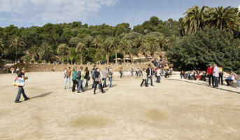 autumn, Barcelona, casual, Cataluña, day, eye level view, Gaudi Park, group, palm, park, people, Phoenix canariensis, Spain, sunny, treeline, walking