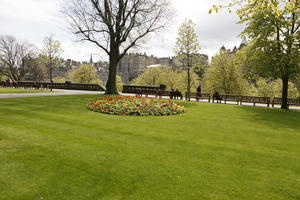 afternoon, day, Edinburgh, eye level view, flower, garden, grass, natural light, park, Scotland, spring, The United Kingdom