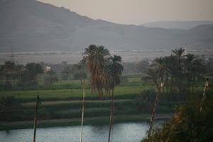 dusk, East Timor, Egypt, Egypt, elevated, natural light, palm, river, tree, vegetation