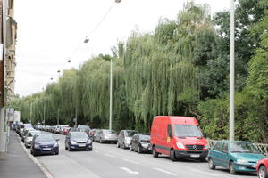 Austria, autumn, car, day, diffuse, diffused light, eye level view, Graz, natural light, Steiermark, street, traffic, tree, van, weeping willow