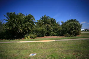 day, eye level view, Florida, Miami, natural light, palm, park, sunny, The United States, tropical, vegetation, winter