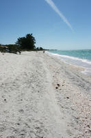 beach, day, eye level view, Florida, Sarasota, seascape, sunny, sunshine, The United States, winter