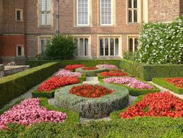 afternoon, bush, day, England, eye level view, flower, garden, hedge, natural light, park, plant, summer, sunny, The United Kingdom