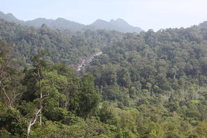 day, elevated, forest, Kedah, Malaysia, mountain, sunny, vegetation