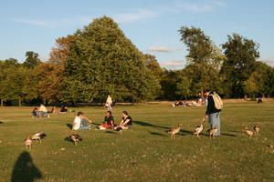 afternoon, bird, day, England, eye level view, geese, group, London, park, people, picnicking, sitting, summer, sunny, The United Kingdom