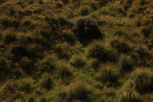 above, day, grass, summer, sunlight, sunny, sunshine