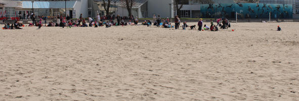 beach, Boulogne-sur-Mer, children, day, eye level view, France, group, Nord-Pas-de-Calais, people, playing, spring, sunbathing, sunny