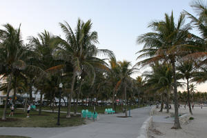 bench, dusk, eye level view, Florida, Miami, palm, park, path, The United States, vegetation, winter