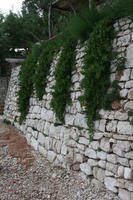 architecture, Croatia, Croatia, day, eye level view, hanging, natural light, plant, vegetation, wall