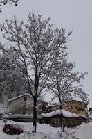 ambient light, day, diffuse, diffused light, eye level view, house, Italia , morning, natural light, overcast, snow, tree, Veneto, winter