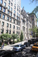 building, car, day, elevated, facade, Manhattan, New York, street, sunny, The United States, tree, vegetation