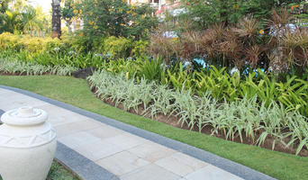 Bali, day, eye level view, garden, grass, Indonesia, plant, shrub, summer, sunny, tropical