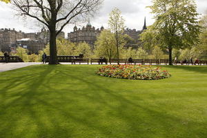 afternoon, day, Edinburgh, eye level view, flower, garden, grass, natural light, park, Scotland, spring, The United Kingdom