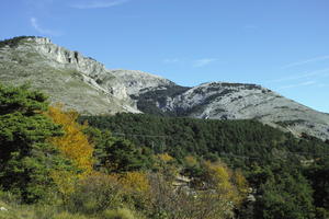 autumn, bright, day, eye level view, France, mountain, Provence Alpes Cote D