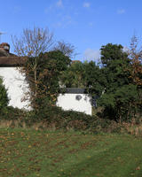 bush, day, England, eye level view, garden, house, London, natural light, park, sunny, The United Kingdom, tree