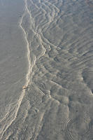 above, beach, day, Florida, sand, Sarasota, sunny, sunshine, The United States, water, winter