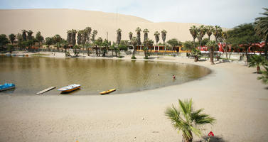 day, desert, direct sunlight, elevated, Ica, palm, Peru, pond, spring, sunlight, sunny, sunshine, vegetation