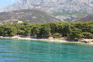 beach, coastline, Croatia, day, eye level view, Makarska, people, seascape, Splitsko-Dalmatinska, summer, sunbathing, tree, vegetation, woodland