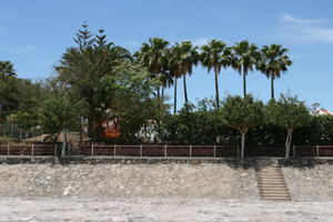 Canarias, day, eye level view, Las Palmas de Gran Canaria, palm, riverbed, Spain, sunny, tree, vegetation