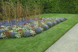 day, England, eye level view, flower, garden, grass, natural light, park, The United Kingdom, Woking