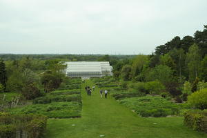 day, elevated, England, garden, grass, greenhouses, natural light, park, plant, The United Kingdom, Woking