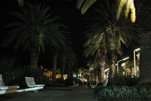 artificial lighting, bench, Croatia, evergreen, eye level view, night, outdoor lighting, palm, park, Phoenix canariensis, Split, Splitsko-Dalmatinska, winter