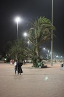 Agadir, arabic, artificial lighting, autumn, back, couple, evening, eye level view, Morocco, palm, path, tree, vegetation, walking