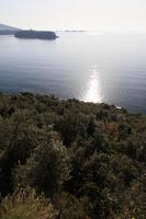 autumn, bright, Croatia, day, Dubrovacko-Neretvanska, Dubrovnik, elevated, hill, natural light, seascape, sunny, tree