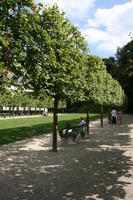 Belgium, bench, Brussels, day, eye level view, grass, natural light, park, summer, tree, vegetation