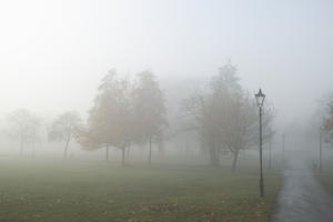 deciduous, England, eye level view, fog, grass, London, natural light, overcast, park, silhouette, street light, The United Kingdom, tree, winter