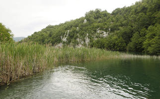 Croatia, day, diffuse, diffused light, eye level view, Karlovacka, lake, natural light, reed, summer