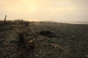 beach, cloudy, diffuse, diffused light, dusk, eye level view, Hokitika, New Zealand, summer, West Coast