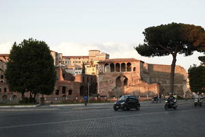 car, coniferous, day, dusk, eye level view, Italia , Lazio, parasol pine, pine, Rome, street, summer, sunny, tree