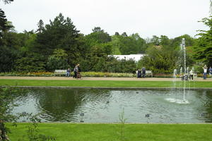 day, England, eye level view, garden, grass, natural light, park, pond, The United Kingdom, Woking