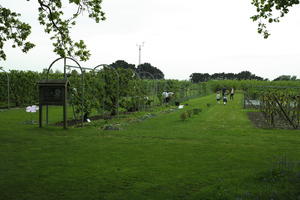 day, England, eye level view, garden, grass, natural light, park, plant, The United Kingdom, Woking