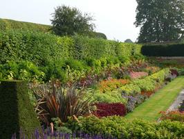 afternoon, bush, day, England, eye level view, flower, garden, natural light, park, plant, summer, sunny, The United Kingdom