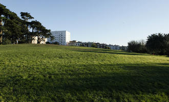 afternoon, California, day, eye level view, grass, hill, San Francisco, summer, sunny, The United States