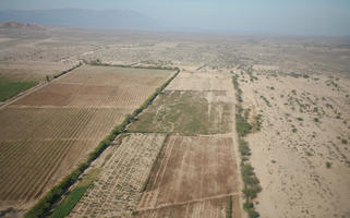 aerial view, agriculture, day, desert, field, Ica, natural light, Nazca, Peru, sunny