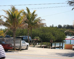 car, day, eye level view, Florida, Miami, natural light, palm, street, sunny, The United States, tropical, vegetation, winter