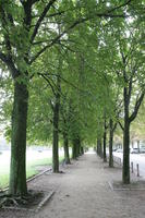 afternoon, Braunschweig, day, Deutschland, eye level view, natural light, Niedersachsen, park, path, summer, tree, vegetation