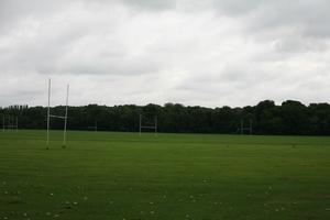 day, England, eye level view, field, grass, London, natural light, The United Kingdom, vegetation