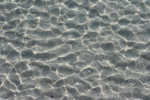 beach, close-up, day, Florida, sand, Sarasota, sunny, sunshine, The United States, water, winter