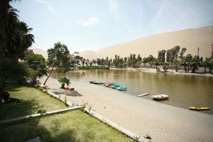 boat, day, desert, direct sunlight, elevated, Ica, Peru, pond, spring, sunlight, sunny, sunshine, vegetation