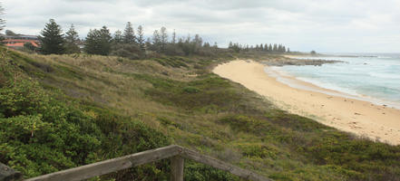 Australia, beach, day, diffuse, diffused light, elevated, natural light, shrubland, summer