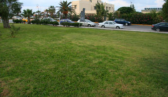 car, day, eye level view, grass, Greece, Irakleion, Iraklion (Crete), natural light, street