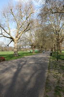 alley, day, deciduous, England, eye level view, London, park, spring, sunny, The United Kingdom, tree