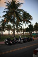 dusk, eye level view, Florida, Miami, motorcycle, palm, park, street, The United States, transport, tree, vegetation, winter