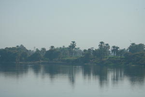 day, East Timor, Egypt, Egypt, eye level view, natural light, palm, river, river Nile, tree, vegetation