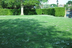 day, England, eye level view, grass, lawn, park, Romsey, sunny, The United Kingdom